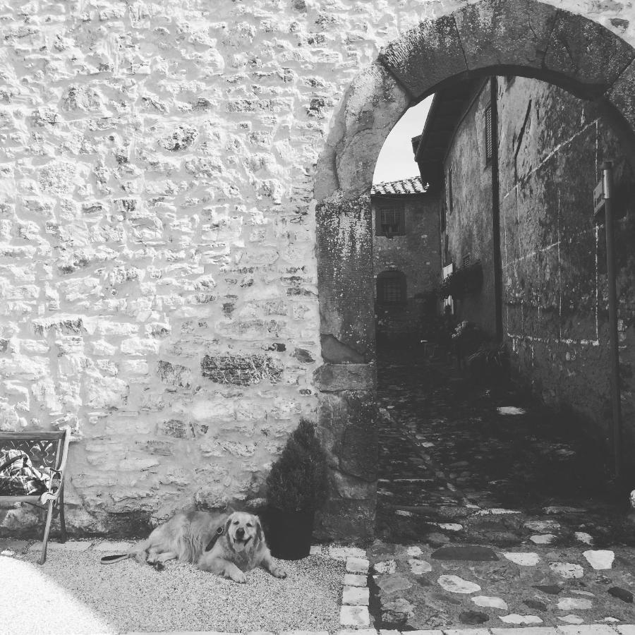 La Difesa Διαμέρισμα San Romano  Εξωτερικό φωτογραφία